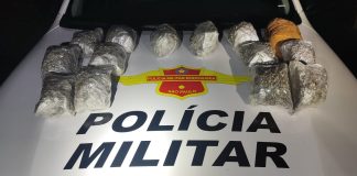 Auxiliar de contabilidade é presa em Presidente Prudente transportando quase 8 kg de skunk em ônibus interestadual