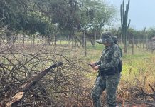 Polícia Ambiental aplica mais de R$ 8 mil em multas por uso de fogo em propriedade rural