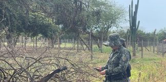 Polícia Ambiental aplica mais de R$ 8 mil em multas por uso de fogo em propriedade rural