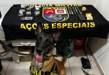 BAEP prende homem por tráfico de drogas em Regente Feijó