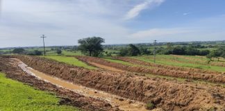 Projeto de revitalização da bacia hidrográfica do Rio Santo Anastácio entra na fase final