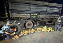 Traficante é preso com quase 200 kg de drogas escondidas em pneus de caminhão em Presidente Bernardes