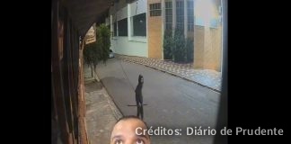 ASSISTA: Empresário se revolta com ladrão roubando fios no Parque Furquim