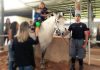 Cavalaria do 8º BAEP retoma Programa de Equoterapia em parceria com a UNOESTE