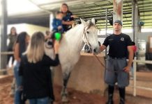Cavalaria do 8º BAEP retoma Programa de Equoterapia em parceria com a UNOESTE