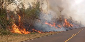 Estado de São Paulo permanece em alerta máximo para risco de incêndios até 11 de setembro