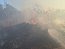 Incêndios mobilizam Corpo de Bombeiros, Defesa Civil em Martinópolis e região