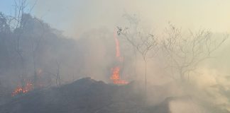 Incêndios mobilizam Corpo de Bombeiros, Defesa Civil em Martinópolis e região