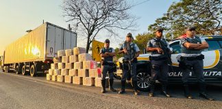 Polícia apreende mais de 1 tonelada de maconha escondida em carga de frango a 55 Km de Prudente