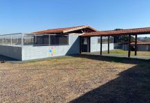 Prudente institui protocolo de controle populacional de animais, baseado em modelo americano