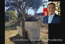 Jequitibás II: Vereador Edu da Padaria cobra prefeitura após árvore nascer em bebedouro de praça