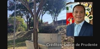 Jequitibás II: Vereador Edu da Padaria cobra prefeitura após árvore nascer em bebedouro de praça