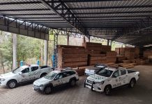 Madeireira de Álvares Machado é multado em R$ 1,1 mil por madeiras sem documentação