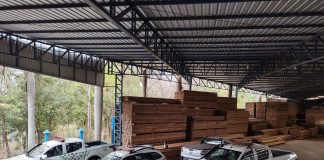 Madeireira de Álvares Machado é multado em R$ 1,1 mil por madeiras sem documentação