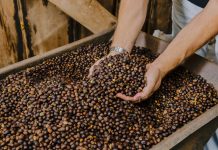 Inscrições estão abertas para a 7ª edição do Concurso do Café Arábica