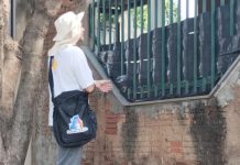 Prefeitura inicia novos mutirões de combate à dengue, com ações até 10 de setembro