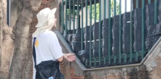 Prefeitura inicia novos mutirões de combate à dengue, com ações até 10 de setembro