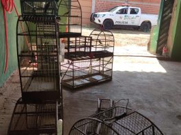 Idoso de 71 anos é multado em R$ 12 mil por manter 24 aves silvestres em cativeiro em Santo Expedito