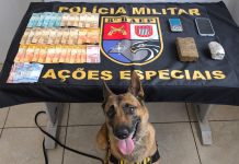 8º BAEP prende homem por tráfico de drogas com tijolo de maconha no residencial Belo Galindo