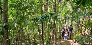 Semea divulga programação da Semana da Árvore 2025