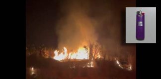 Jovem é preso por atear fogo em área de mata entre bairros na Zona Norte de Presidente Prudente