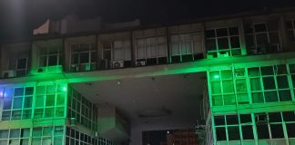 Prédios recebem iluminação verde para homenagear Dia do Veterinário nesta terça