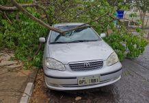Vendaval de 85 km/h atinge prédios públicos e causa quedas de árvores em Prudente