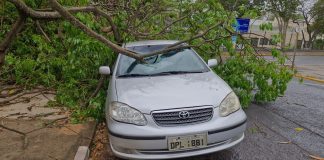 Vendaval de 85 km/h atinge prédios públicos e causa quedas de árvores em Prudente