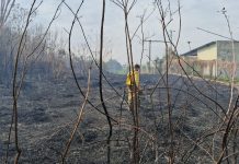 Incêndio nas proximidades de Colégio Agrícola é controlado por Bombeiros e Defesa Civil