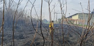 Incêndio nas proximidades de Colégio Agrícola é controlado por Bombeiros e Defesa Civil