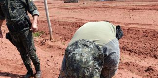 Produtor é multado em R$ 30 mil por derrubar árvores navitas em sítio de Teodoro Sampaio