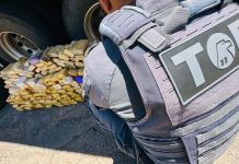 Polícia Rodoviária e FICCO apreendem 181 quilos de maconha em caminhão na rodovia Raposo Tavares em Presidente Prudente