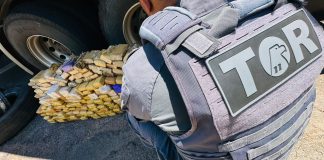Polícia Rodoviária e FICCO apreendem 181 quilos de maconha em caminhão na rodovia Raposo Tavares em Presidente Prudente