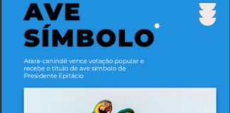 Arara-canindé vence votação popular e recebe o título de ave símbolo de Presidente Epitácio
