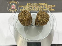 Mulheres são pegas com entorpecentes na vagina e dentro de calça ao entrarem em penitenciária a 59 Km de Presidente Prudente