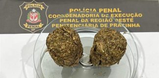 Mulheres são pegas com entorpecentes na vagina e dentro de calça ao entrarem em penitenciária a 59 Km de Presidente Prudente