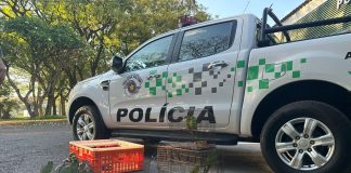 VIDEO: Homens são multados R$ 182 mil por maus tratos e manter aves silvestres em cativeiro Teodoro Sampaio