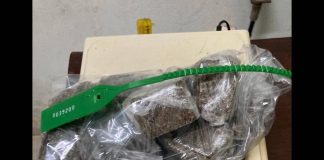 Polícia Militar prende homem por tráfico de drogas e posse de arma em Presidente Prudente