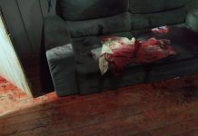 Casal é esfaqueado dentro de casa por ex-marido em Álvares Machado