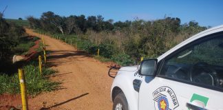 Fazendeiro de Panorama é multado por degradação ambiental em área de preservação permanente