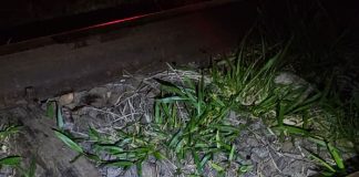 Após furtar engradado de tubaina criminoso é esfaqueado sete vezes por enteado de motorista de caminhão de bebidas