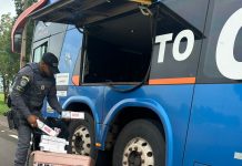 Polícia Rodoviária prende mulher com 3 mil maços de cigarros contrabandeados em Presidente Epitácio