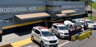 Polícias de SP e MS intercepta veículo roubado e apreende mais de 600 kg de maconha na Raposo Tavares