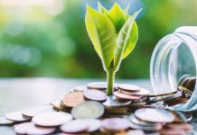 Cerca de 46% dos pequenos negócios reduziram custos com medidas favoráveis ao meio ambiente, segundo Sebrae-SP