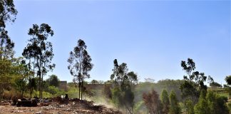 Após chuvas fumaça volta aparecer em incêndio subterrâneo na Vila Furquim e aulas são suspensas por precaução