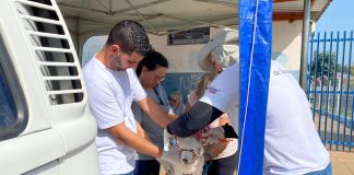 Vigilância anuncia mais dois plantões de chipagem nos dias 04 e 05 de novembro