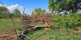 Sítio de Epitácio é autuado em mais de R$ 66 mil por degradação ambiental