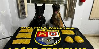 BAEP prende boliviana com pasta base de cocaína presa ao corpo em Presidente Prudente