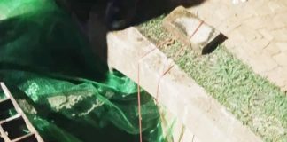 Gato está preso há pelo menos seis dias em cano e moradores pedem ajuda especializada no Jardim Paulista