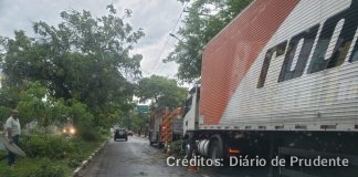 Árvore cai em caminhão na avenida Manoel Goulart e causa congestionamento em frente ao Prudenshopping